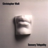 Sensory Telepathy artwork