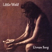 Little Wolf - Oweegon