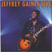 Jeffrey Gaines Live