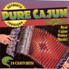 The Cajun Playboys - Perrodin Two Step