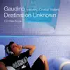 Destination Unknown (J-Reverse Radio Mix) song lyrics