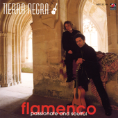 Furia Flamenca- Passionate and Soulful - Tierra Negra