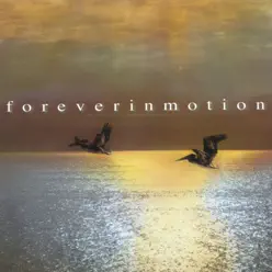 self/titled - Foreverinmotion