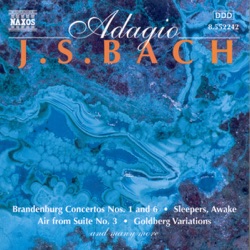 Johann Sebastian Bach - Piano Concerto No. 2 In E Major