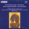 National Symphony Orchestra Of The South African Broadcasting Corporation - 5 African Songs (orch. P. Van Dijk): Bawo Thixo Somandla