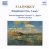 National Symphony Orchestra of Ukraine & Theodore Kuchar - Symphony No. 2 in A Major: I. Moderato - Allegro non troppo