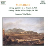 Schubert: String Quintet, D. 956 - String Trio, D. 581 artwork