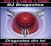Dragostea Din Tei - Single