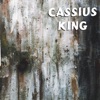 Cassius King - Shelter