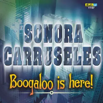 Soy el Rey by Sonora Carruseles song reviws