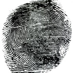 Thunder and Lightning