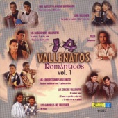 14 Vallenatos Romanticos, Vol. 1 artwork