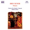 Bruckner: Motets
