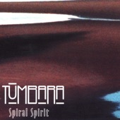 Spiral Spirit artwork