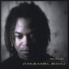 Chameleon, 2002