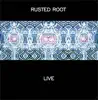 Stream & download Rusted Root Live