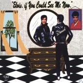 Elvis If You Could See Me Now artwork