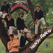 Tommy James & The Shondells - Hanky Panky(Single Version)