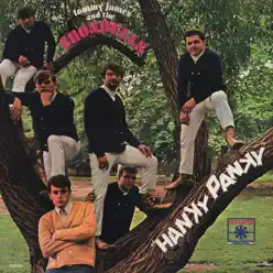 Hanky Panky - Tommy James & the Shondells Hanky Panky - Tommy James & the Shondells