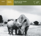 EXPLORER SERIES: AFRICA - Animals of Africa: Sounds of the Jungle, Plain & Bush artwork