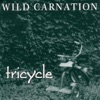 Tricycle