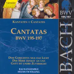 Bach: Cantatas - BWV 195-197 by Bach-Collegium Stuttgart, Gächinger Kantorei Stuttgart, Helmuth Rilling & Wurttembergisches Kammerorchester Heilbronn album reviews, ratings, credits