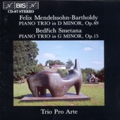 Piano Trio in G Minor, Op. 15: II. Allegro, Ma Non Agitato artwork