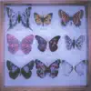 Man Made Butterflies album lyrics, reviews, download
