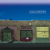 The Tao of Groove - Mulatica Mia