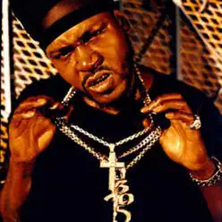 What You Want - Single - Trick Daddy What You Want - Single - Trick Daddy