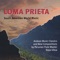 Loma Prieta Lullaby - Nayo Ulloa lyrics