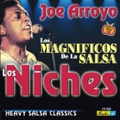 Los Magnificos de la Salsa artwork