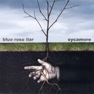 descargar álbum Blue Rose Liar - Sycamore