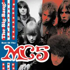 The Big Bang! - Best of the MC5 - MC5