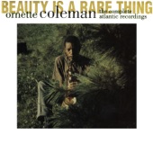 Beauty Is a Rare Thing: The Complete Atlantic Recordings artwork
