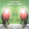 Cross Road - Lungfish lyrics
