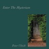 Enter the Mysterium