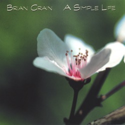 Brian Crain - Sunshine and Blossoms