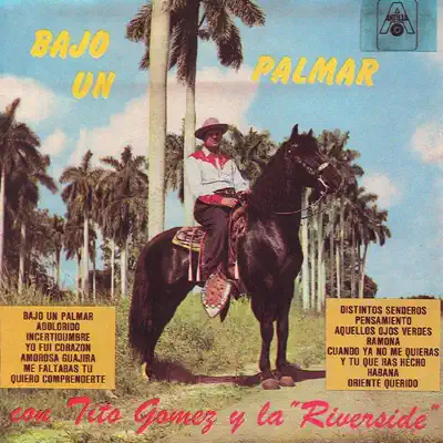 Bajo un Palmar - Tito Gómez Bajo un Palmar - Tito Gómez
