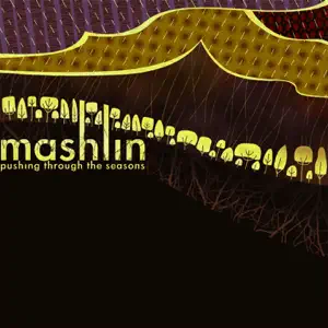Mashlin