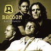 Racoon - Brother