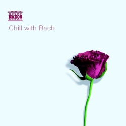 Cologne Chamber Orchestra & Christian Ludwig - Brandenburg Concerto No. 2 in F Major, BWV 1047: II. Andante