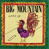 Big Mountain - Peaceful Revolution