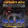Foundations of Bass, Vol. 1 album lyrics, reviews, download