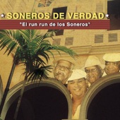 El Run Run de los Soneros artwork