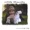 Lindy Kerby - Little Miracles