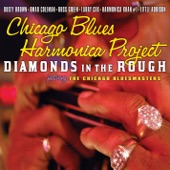 Diamonds In the Rough artwork