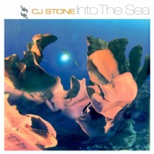 Into the Sea (Green Court Remix) artwork