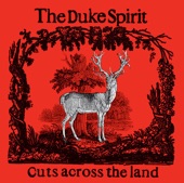 The Duke Spirit - Love Is An Unfamiliar Name