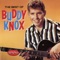 All for You - Buddy Knox lyrics
